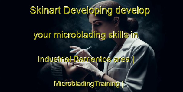 Skinart Developing develop your microblading skills in Industrial Barrientos area | MicrobladingTraining | MicrobladingClasses | SkinartTraining-Mexico